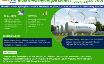 India Green Hydrogen Market