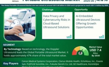 Portable Ultrasound Market